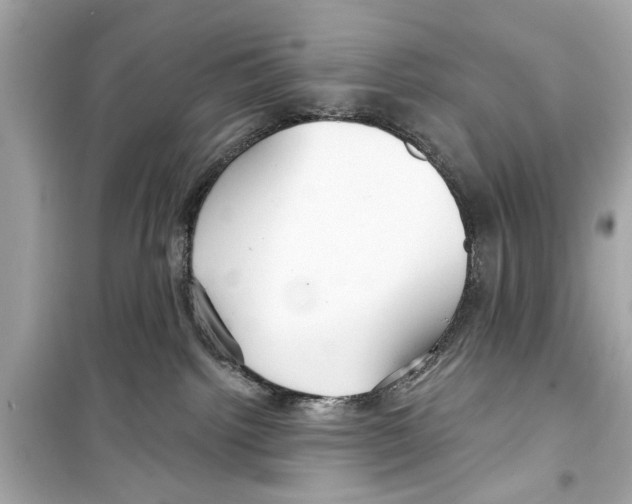X0000098210092200805221636