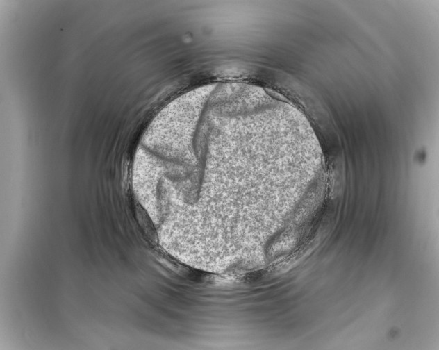 X0000098210093200805221636