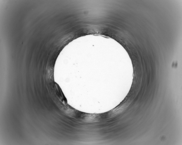 X0000098210096200805221636
