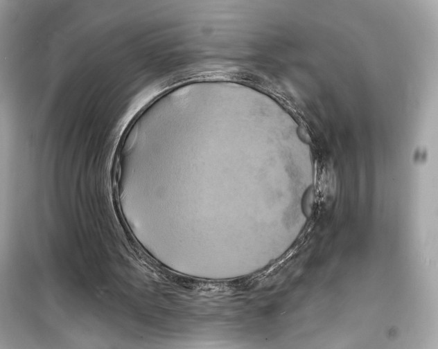 X0000098210099200805221636