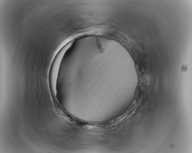 X0000098210100200805221636