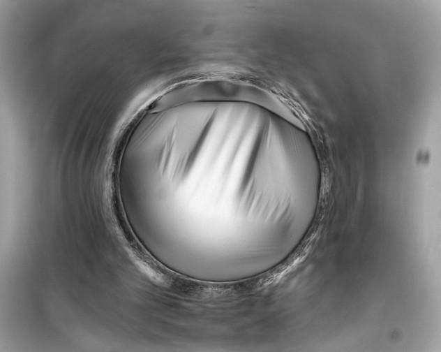 X0000098210101200805221636