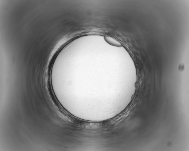X0000098210102200805221636