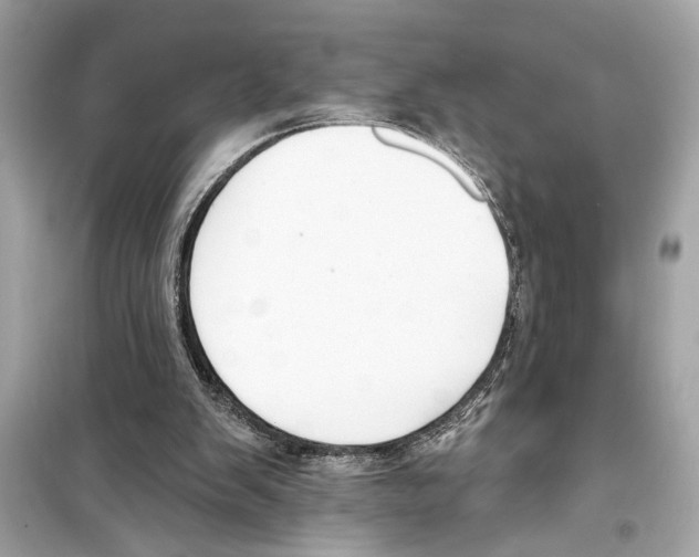 X0000098210103200805221636