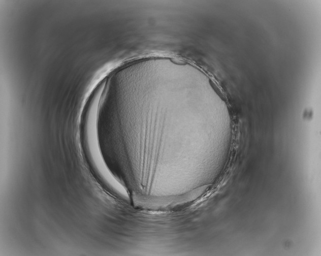 X0000098210104200805221636