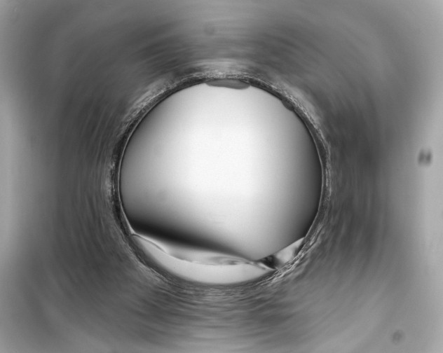 X0000098210105200805221636