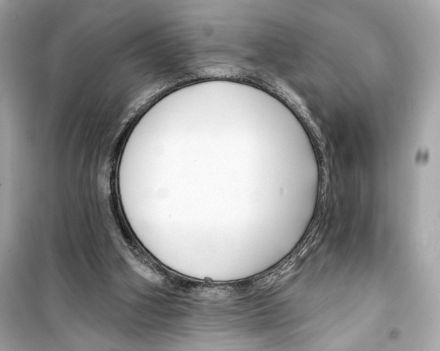 X0000098210106200805221636