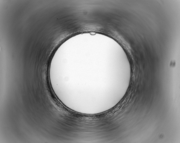 X0000098210107200805221636