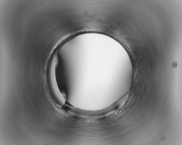 X0000098210108200805221636