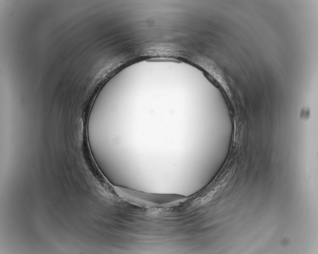 X0000098210109200805221636