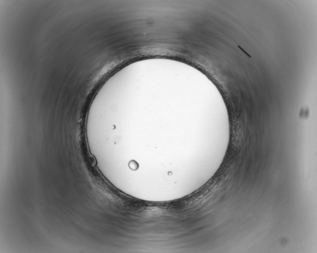 X0000098210111200805221636