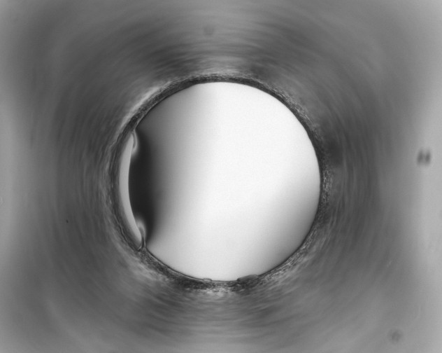 X0000098210112200805221636