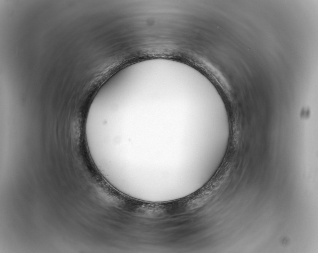 X0000098210113200805221636