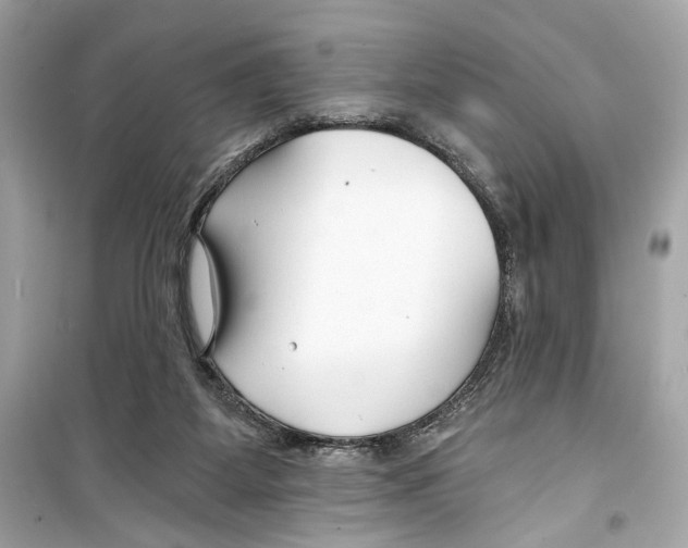 X0000098210115200805221636