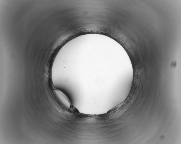 X0000098210116200805221635