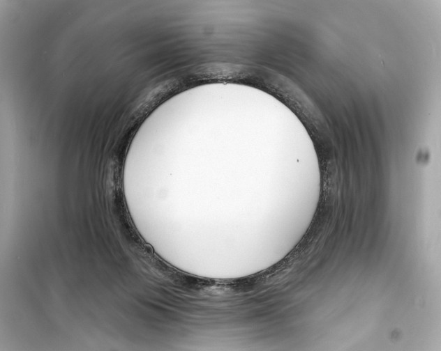 X0000098210119200805221635