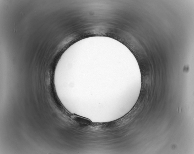 X0000098210120200805221635
