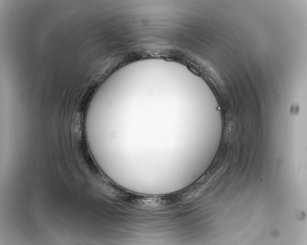 X0000098210121200805221635