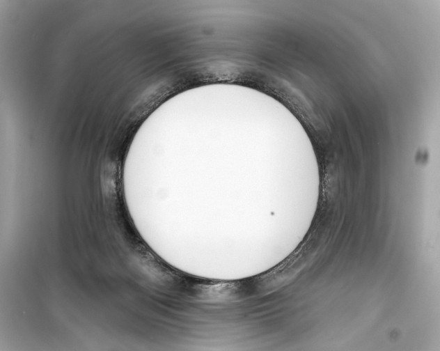 X0000098210122200805221635