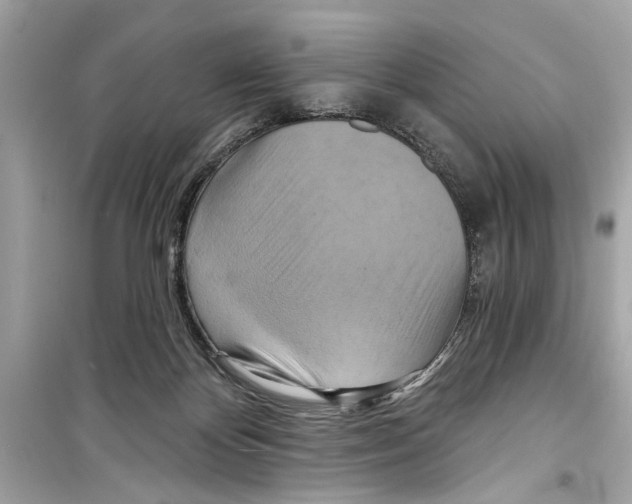 X0000098210124200805221635