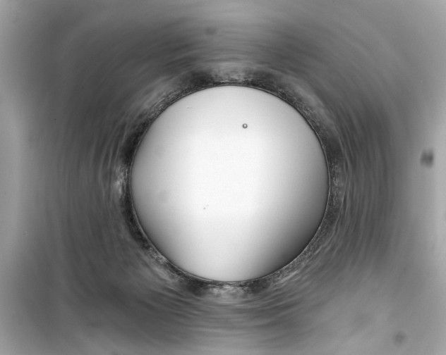 X0000098210125200805221635
