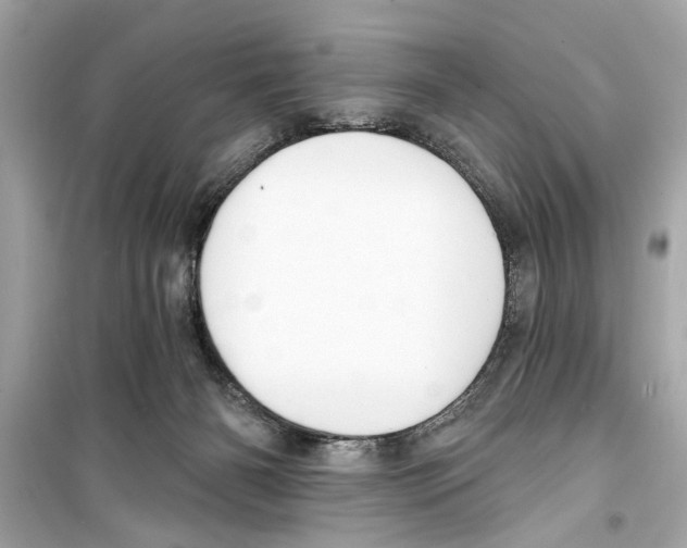 X0000098210126200805221635