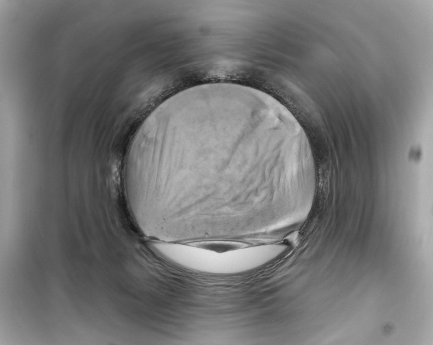 X0000098210127200805221635