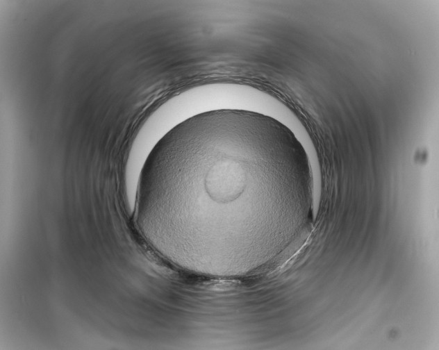 X0000098210128200805221635