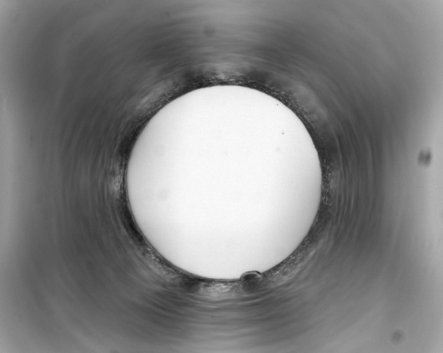 X0000098210129200805221635