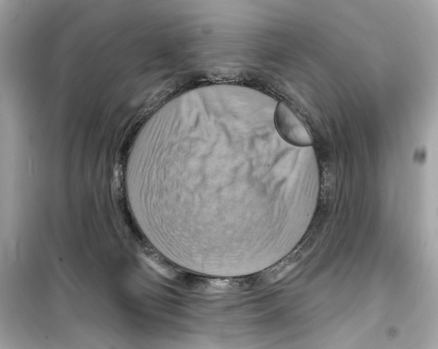 X0000098210130200805221635