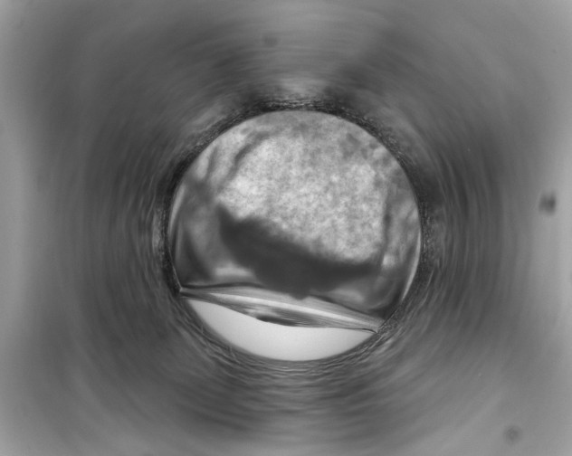 X0000098210131200805221635