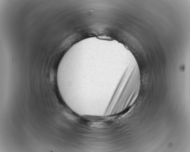 X0000098210132200805221635