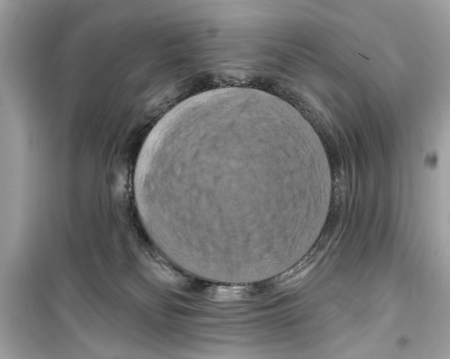 X0000098210134200805221635