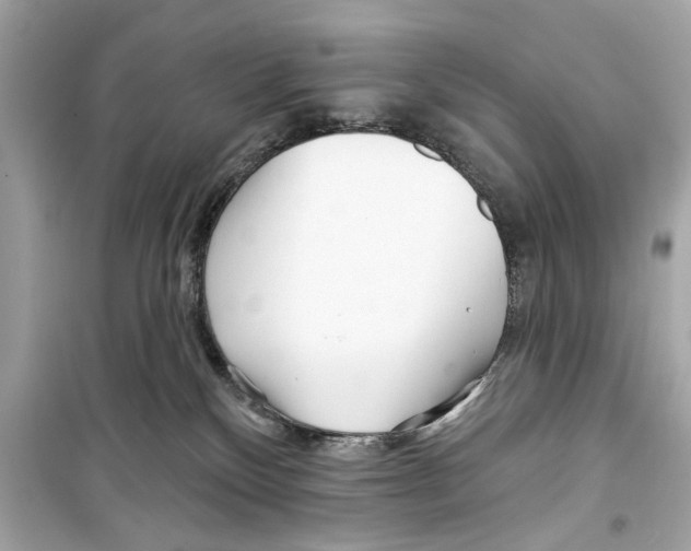 X0000098210136200805221635