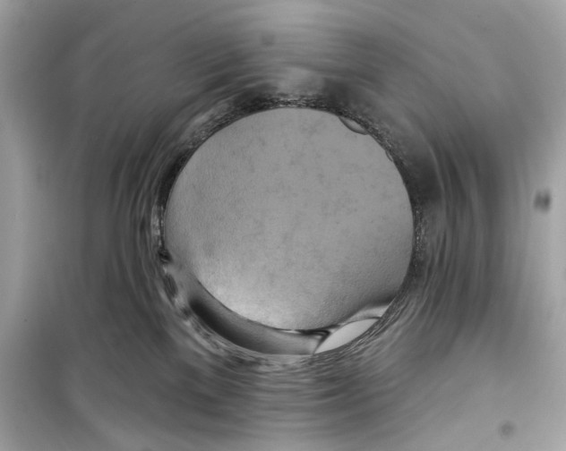 X0000098210137200805221635