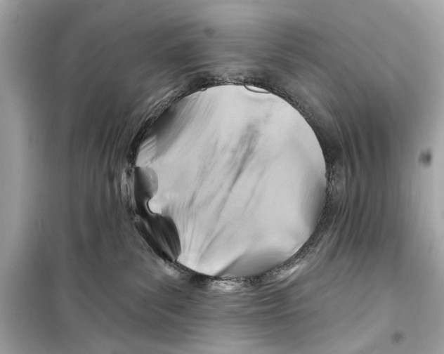 X0000098210139200805221635