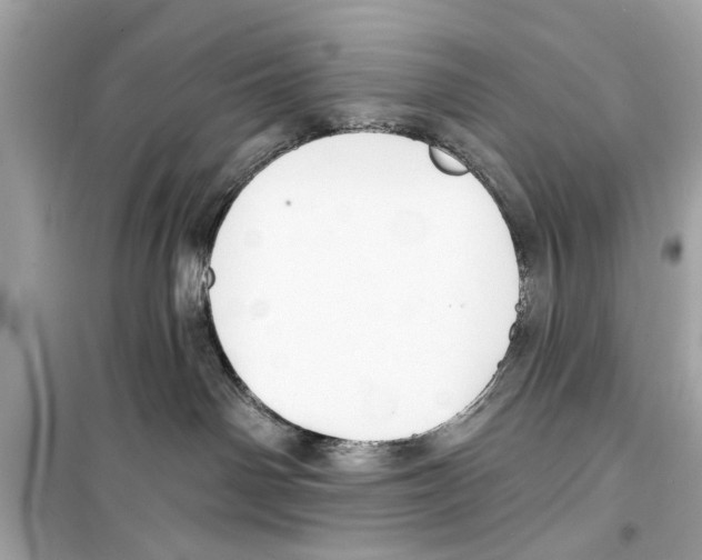 X0000098210142200805221635