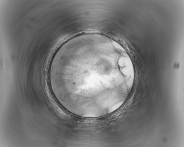 X0000098210145200805221635