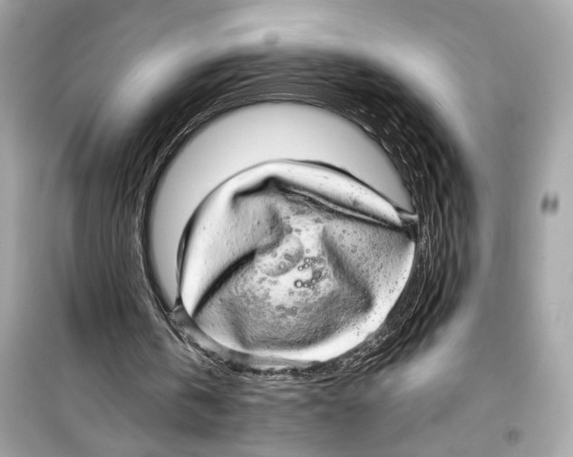 X0000098210146200805221635