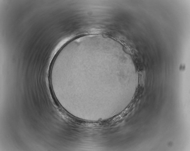 X0000098210147200805221635