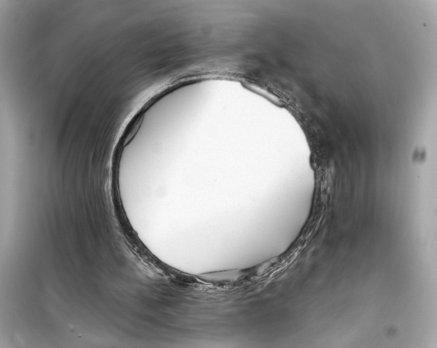 X0000098210148200805221635