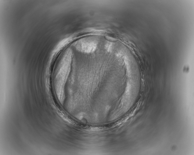 X0000098210149200805221635