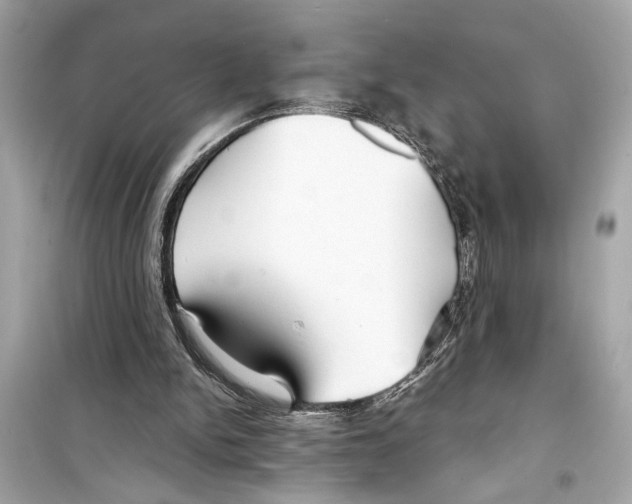 X0000098210150200805221635