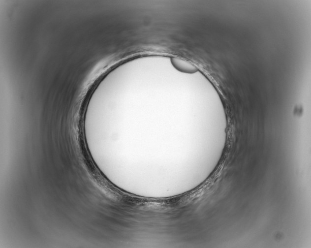 X0000098210151200805221635