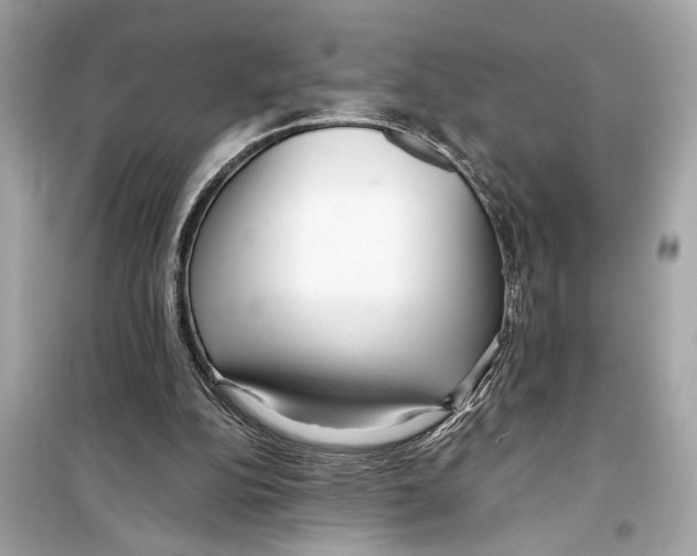 X0000098210152200805221635