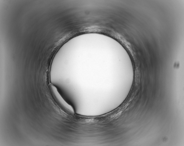X0000098210153200805221635