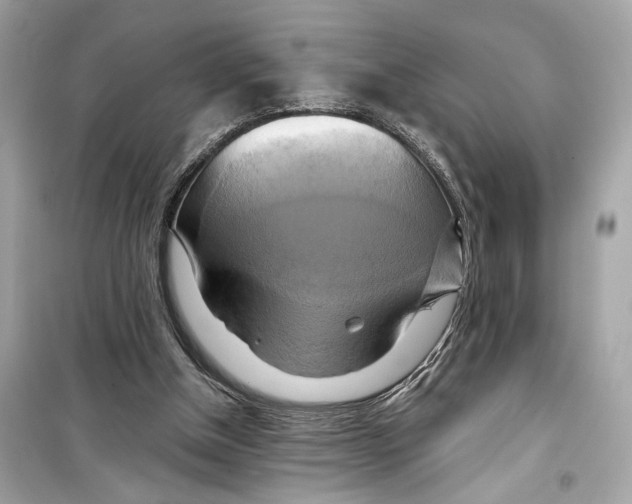 X0000098210154200805221635