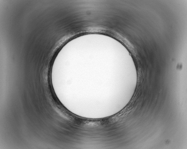 X0000098210155200805221635