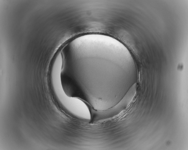 X0000098210156200805221635