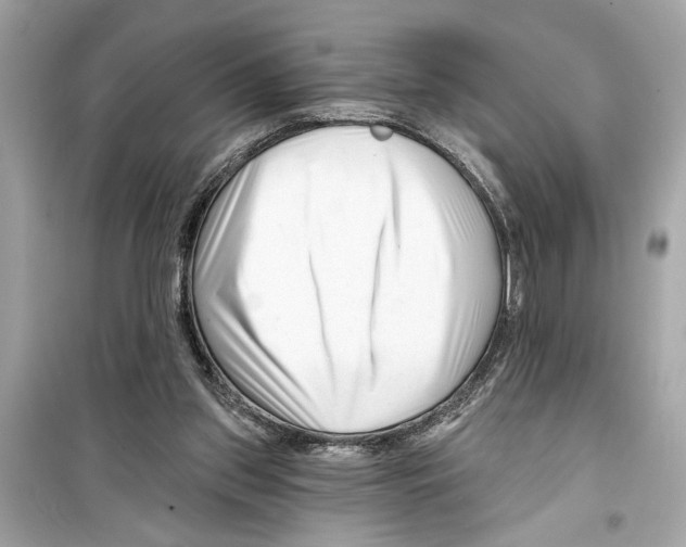 X0000098210157200805221635